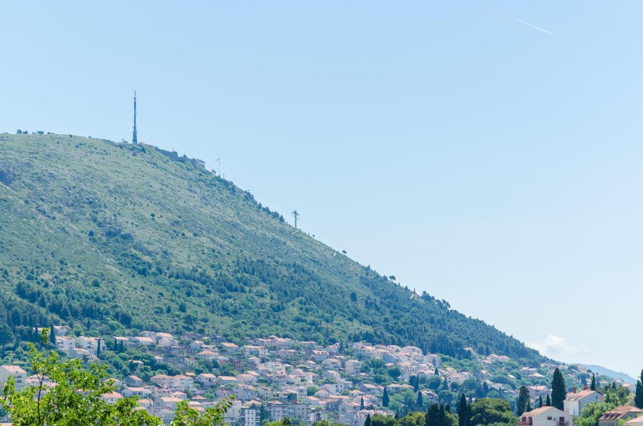 Grga * Dubrovnik